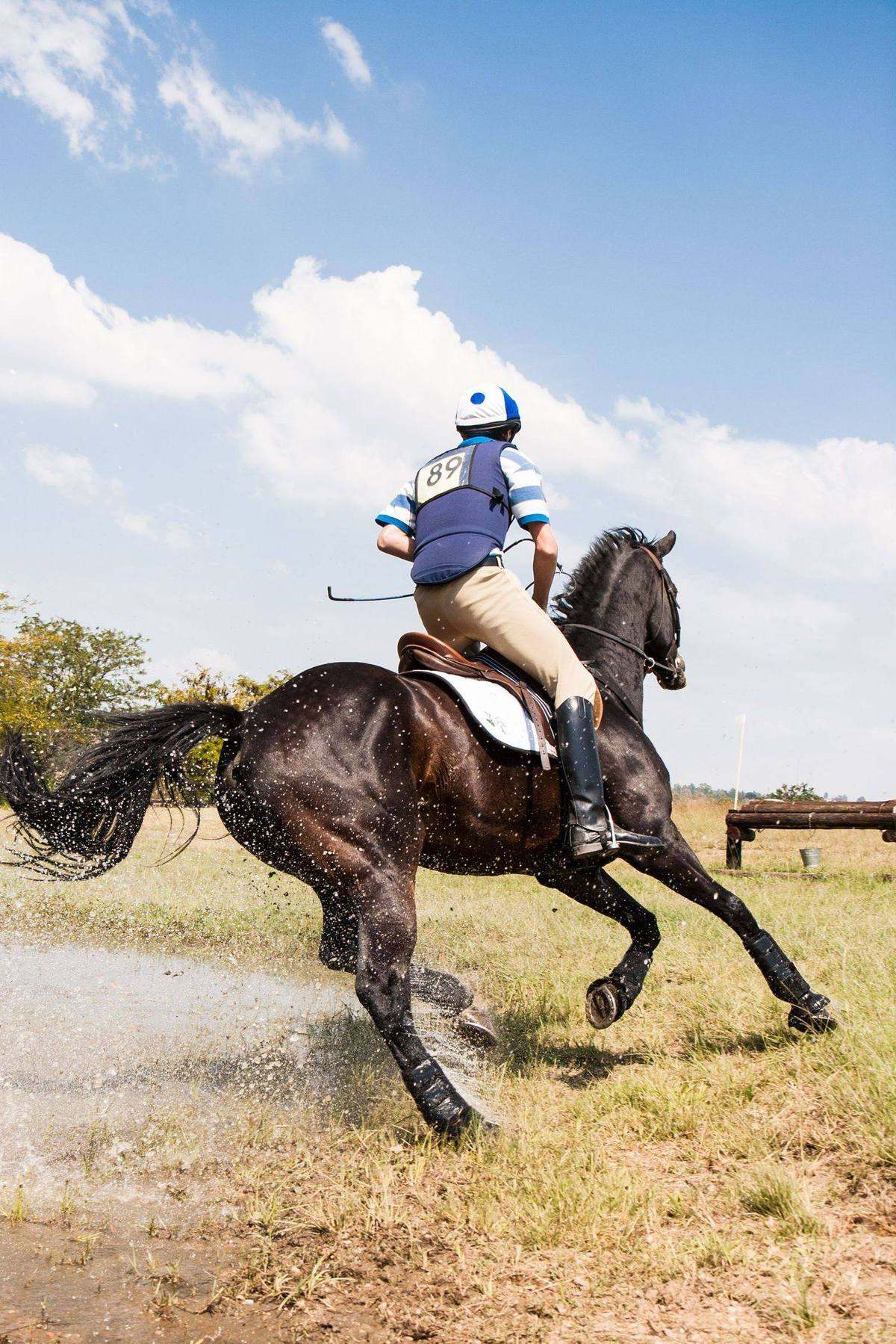 An event horse galloping through the water complex on cross-country