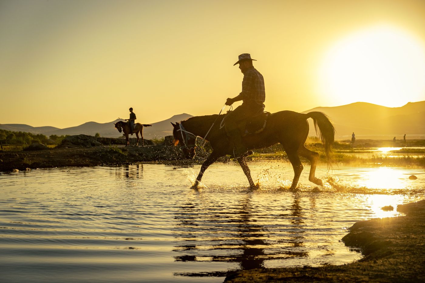 A stock horse and rider crossing golden water at sunset on ranch land