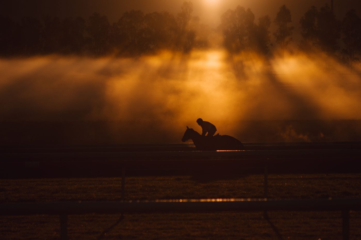A thoroughbred and exercise rider at morning trackwork, silhouetted in golden mist