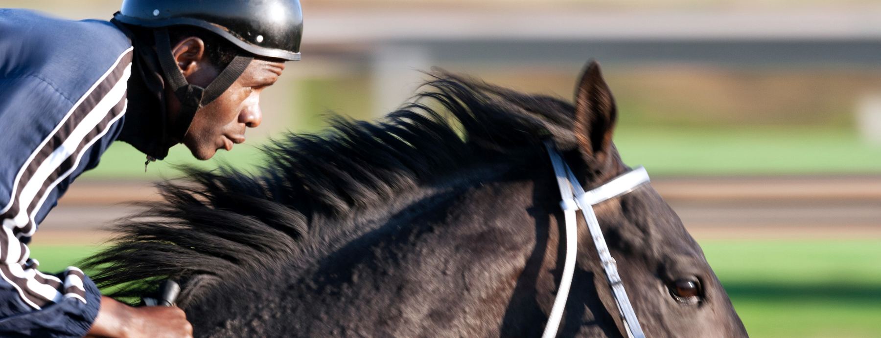 A racehorse and rider at full stretch, the rail blurring past