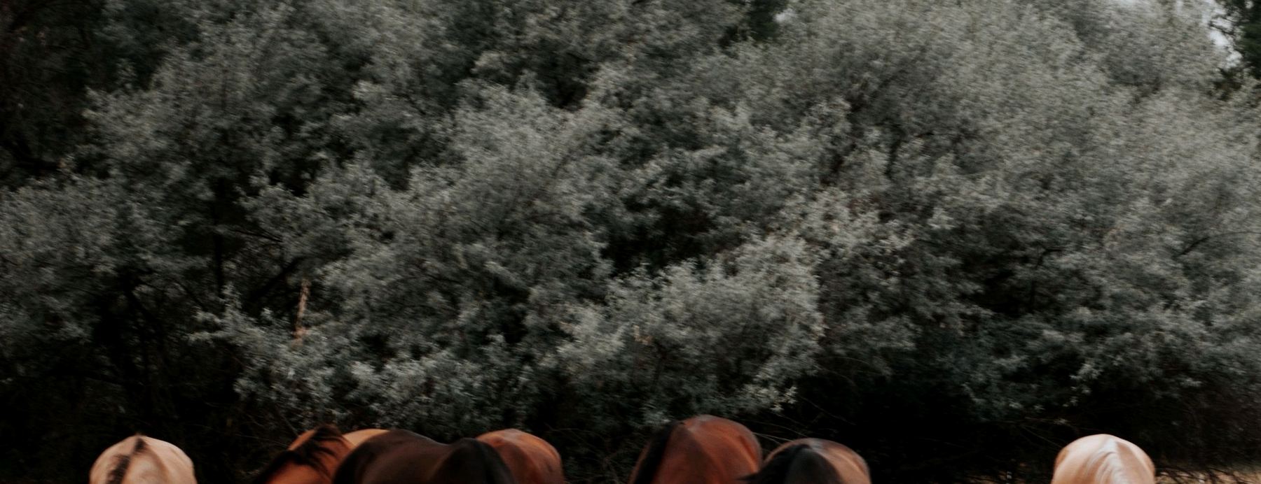 Horses grazing together under a storm sky